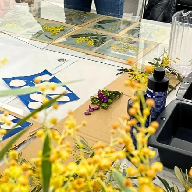 ATELIER : Impressions végétales au cyanotype_Bormes-les-Mimosas