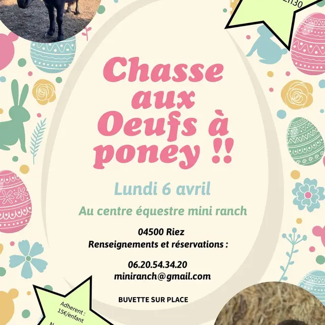 Chasse aux oeufs à poney_Riez