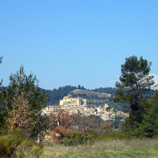 Les charbonnières