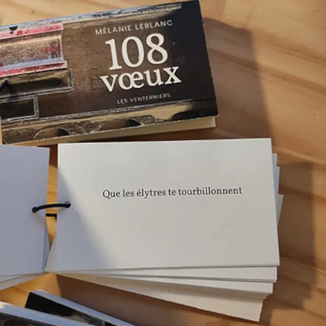 Exposition 108 voeux - Poèmes de Mélanie Leblanc_La Salle-les-Alpes