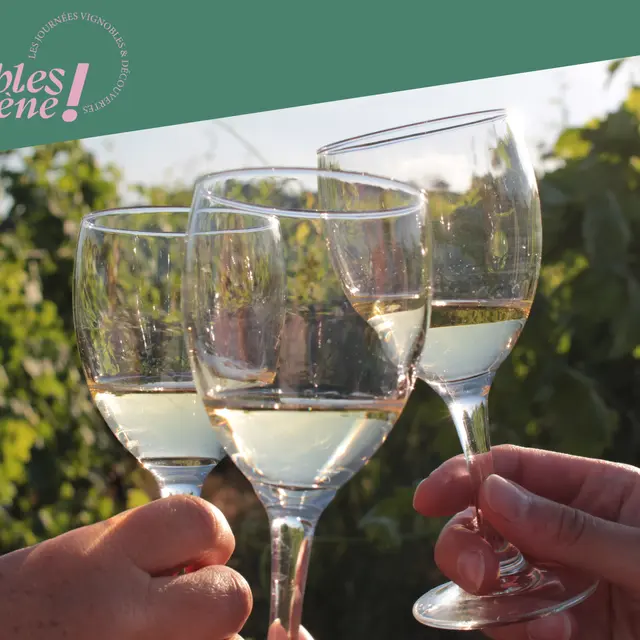 Visite et dégustation - Cave de Tain - Vignobles en scène_Tain-l'Hermitage