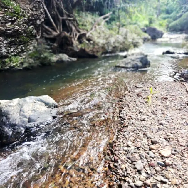 Les Bancouliers de Farino_Farino