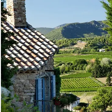Atelier École des Vins - Escale pittoresque en Vallée du Rhône_Avignon