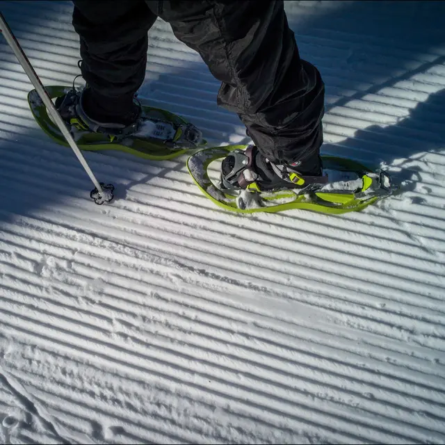 Parcours raquettes La Colle Saint Michel