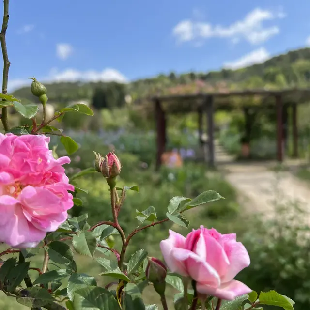 Visite guidée du jardinier_Mouans-Sartoux