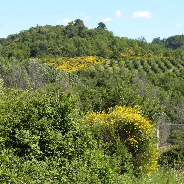 Butte de Notre Dame de Belllevue