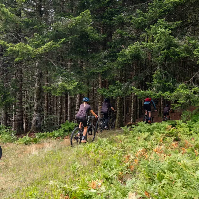 Circuit VTT n°22 à Lavoine