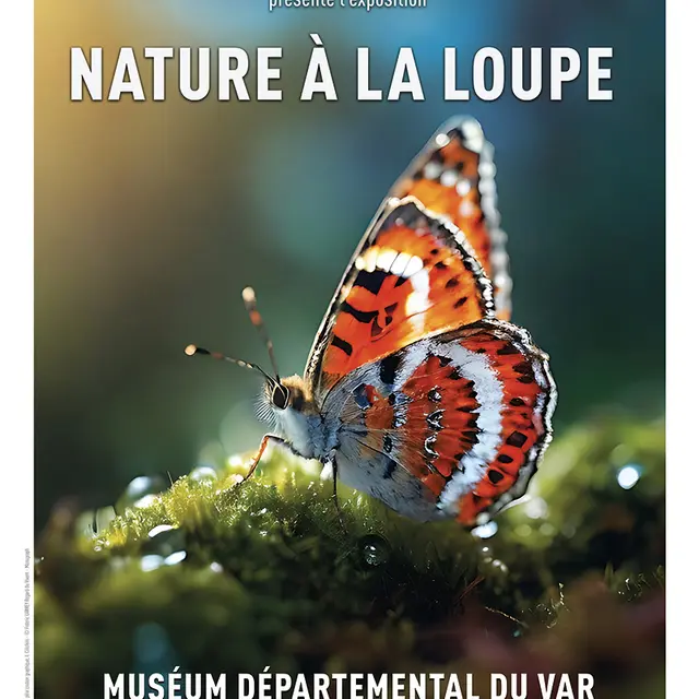 Nature à la loupe_Museum