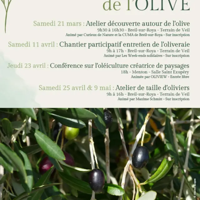 Les rendez-vous de l'olive_Breil-sur-Roya