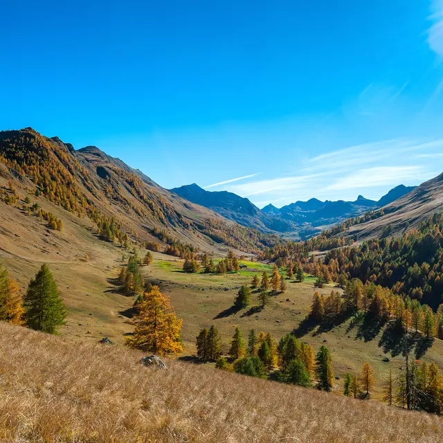 Couleur d'automne et paysages de Haute-Provence_Seyne