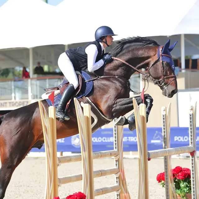 Concours de sauts international - Jumping d'avril_Gassin