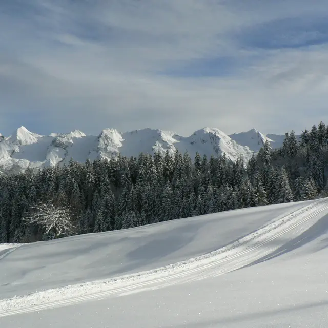 Itinéraire raquette 26 - vue Chaine Aravis