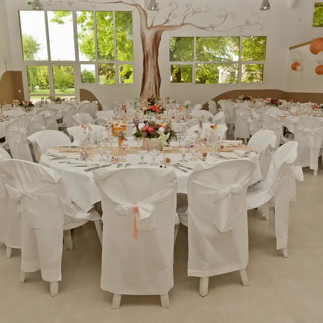 Salle La Ceriseraie_Clos Fougères_Chateauneuf-s/I.