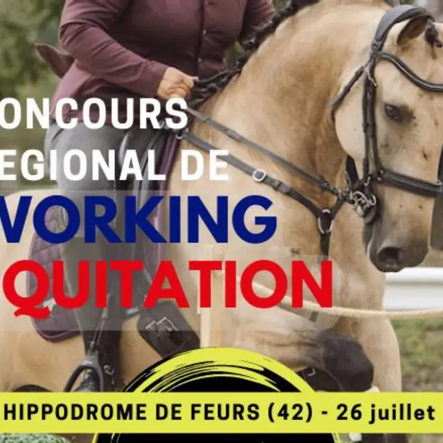 Concours équestre_Feurs