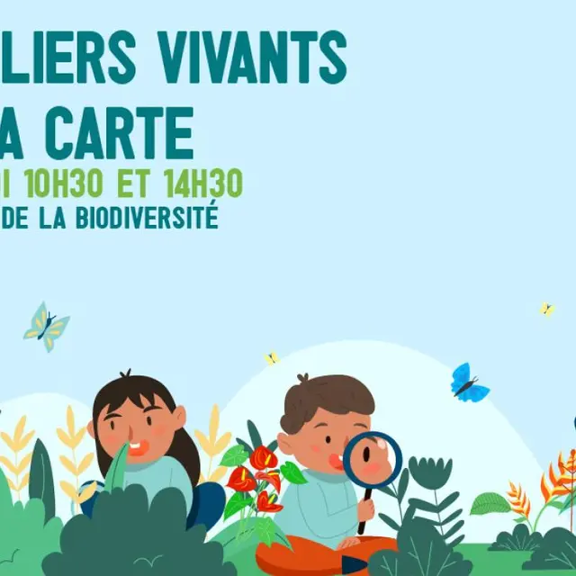 Ateliers vivants à la carte_Nouméa