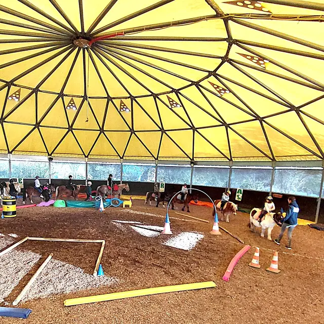 Stages équitation enfants