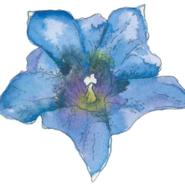 Atelier de dessin et aquarelle pour enfants_Saint-Étienne-de-Tinée