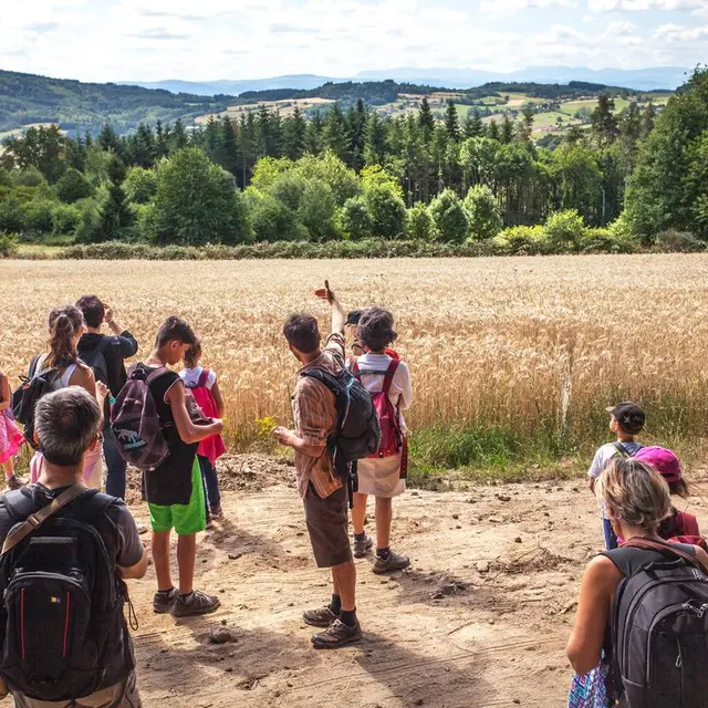 Façonnez votre bijou avec une Améthyste d'Auvergne_Saint-Gervais-sous-Meymont