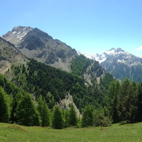 Alpages et forêts du Val d'Escreins