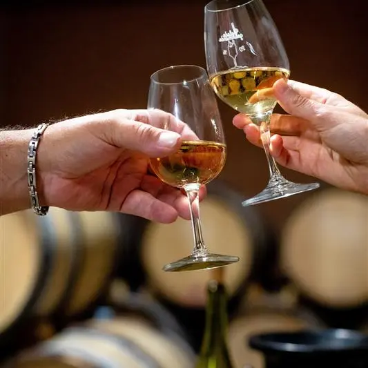 Atelier : découverte immersive des vins de Savoie_Chambéry