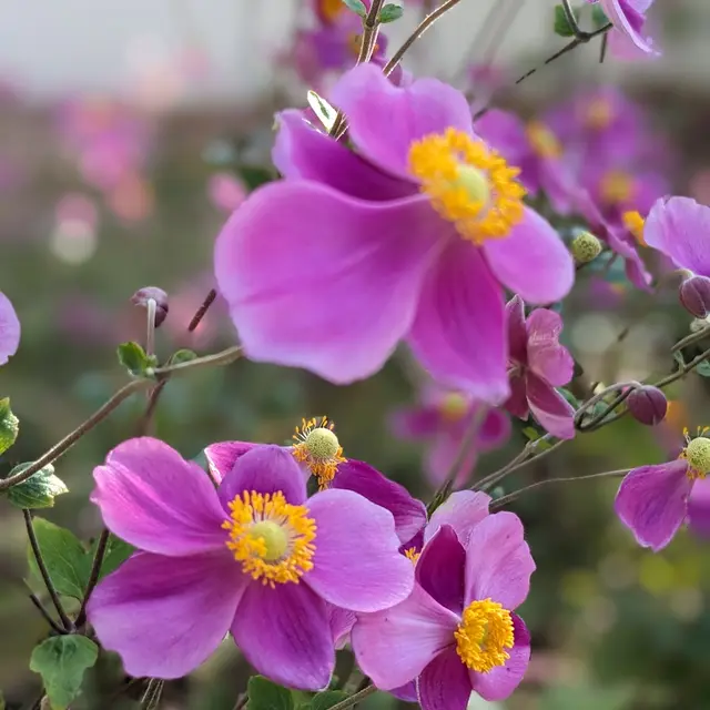 Rendez-vous aux jardins - édition 2026_Marseille