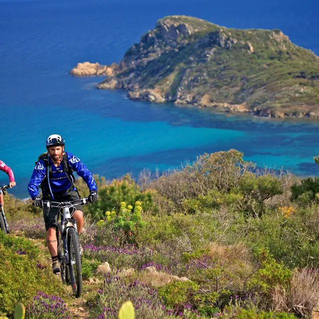 Randonnée guidée en VTT à assistance électrique_Ramatuelle