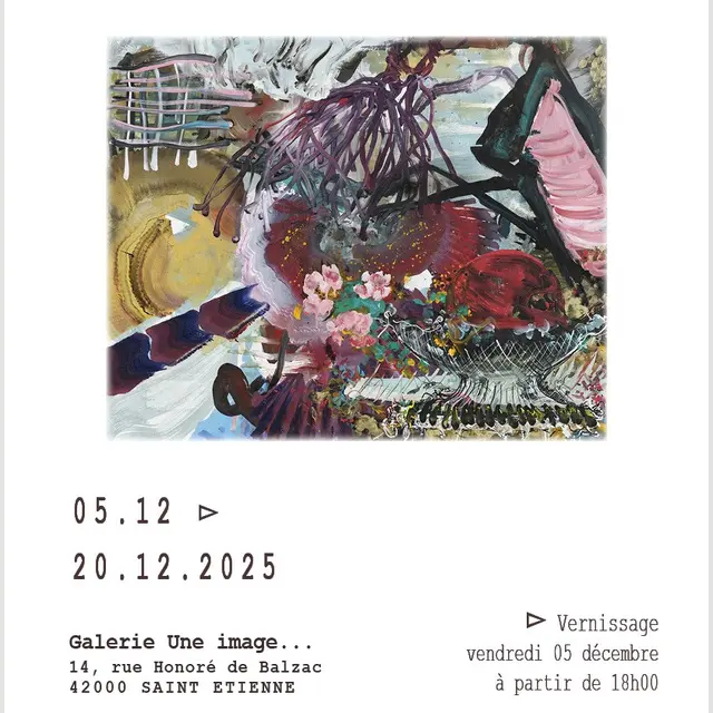 Exposition Cristine Guinamand - Carcasse ou sorbet_Saint-Étienne