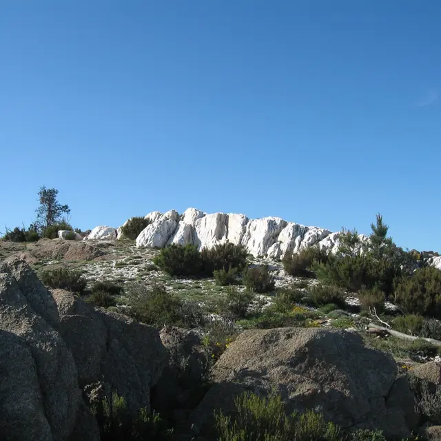 Roches Blanches - La Garde-Freinet - Randonnée pédestre
