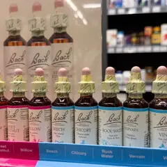 Initiez-vous aux fleurs de Bach, leur utilisation et apprenez à composer votre trousse essentielle