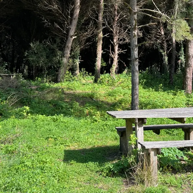 Aire de pique-nique de la forêt de la Combe à l’Eau