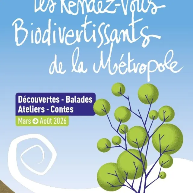 À la rencontre des hiboux petit-ducs - Les rendez-vous biodivertissants de la Métropole_Le Pradet
