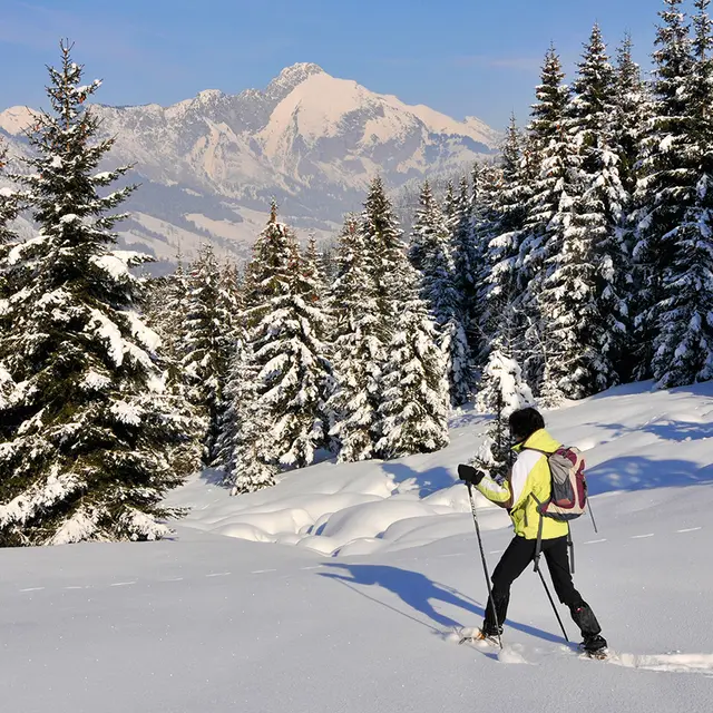 Randonnée raquettes Les chalets d'Autigny à Abondance