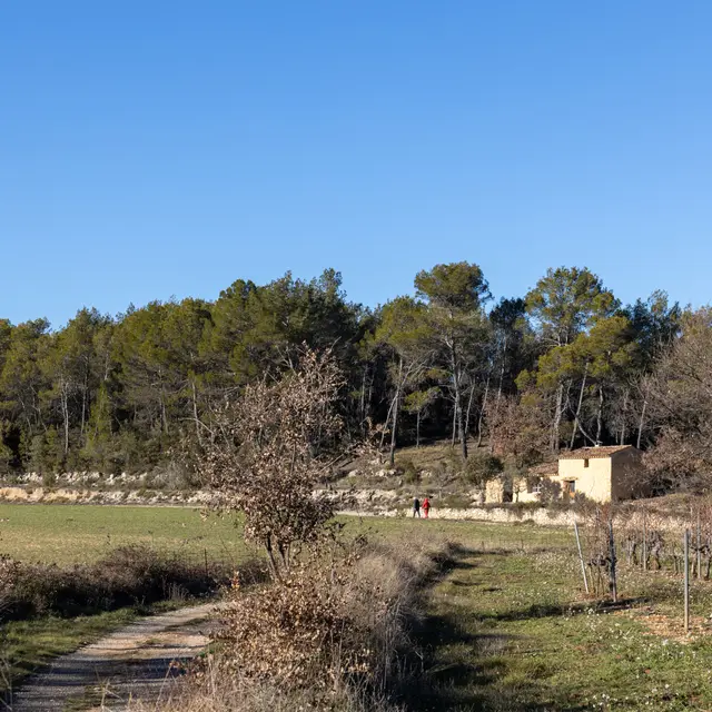 Cotignac - Balade du petit Poucet