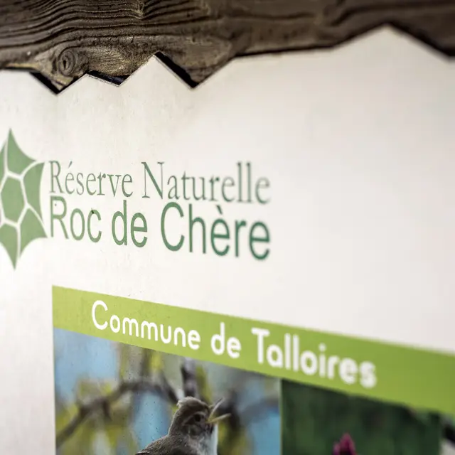 Réserve naturelle du Roc de Chère_Talloires-Montmin