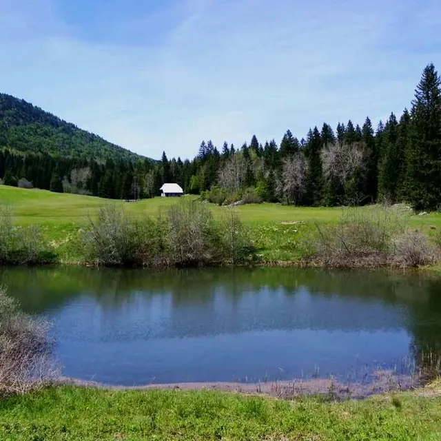 Etang du Mariet