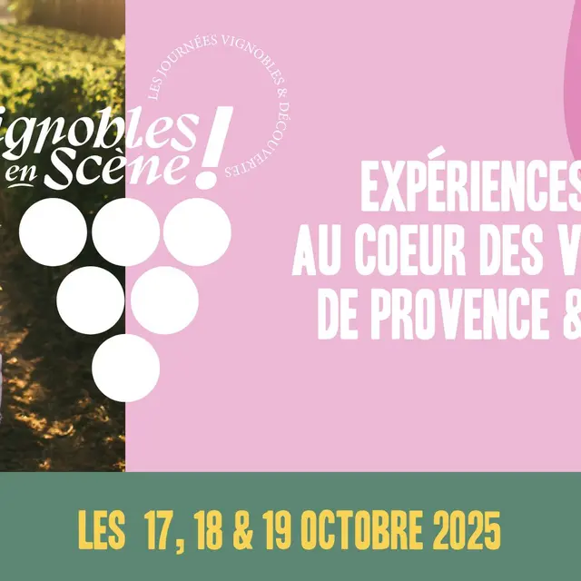 Vignobles en scène dans le Golfe de Saint-Tropez_Cogolin