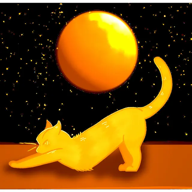 Exposition : La Nuit