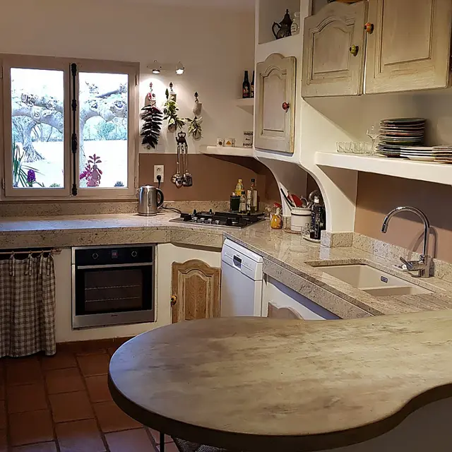 Le Mas des Oliviers_Puget-Ville