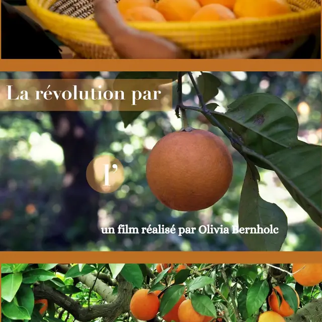 Ciné documentaire - La révolution par l'orange_Cunlhat