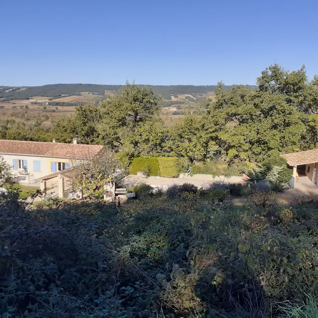 Le Muscardin_Villedieu