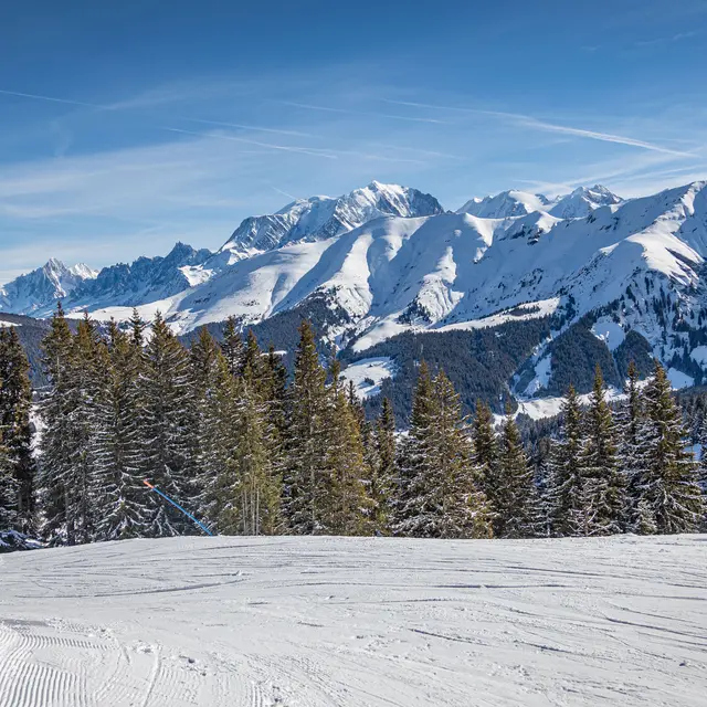 Domaine Skiable Evasion Mont Blanc