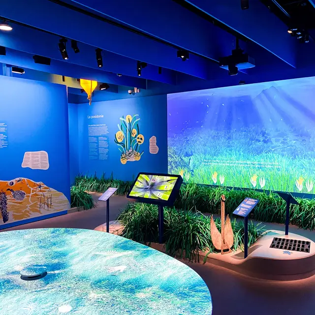 Posidonia - Espace Mer et Littoral_Antibes
