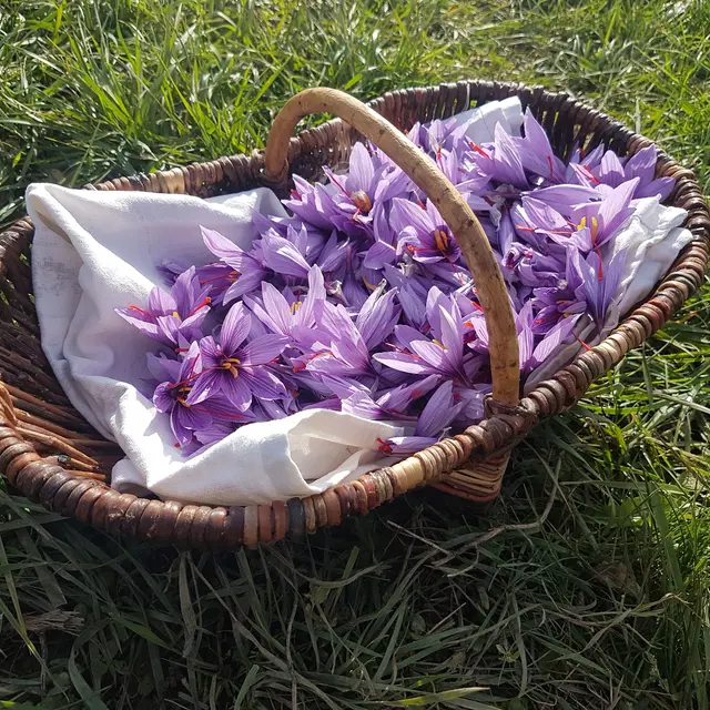 Les Aromatiques d'Arzeliers