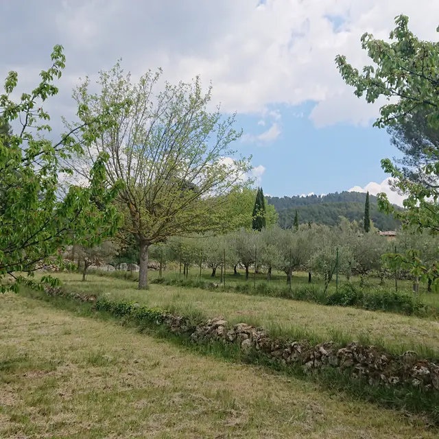 Randonnée en Provence