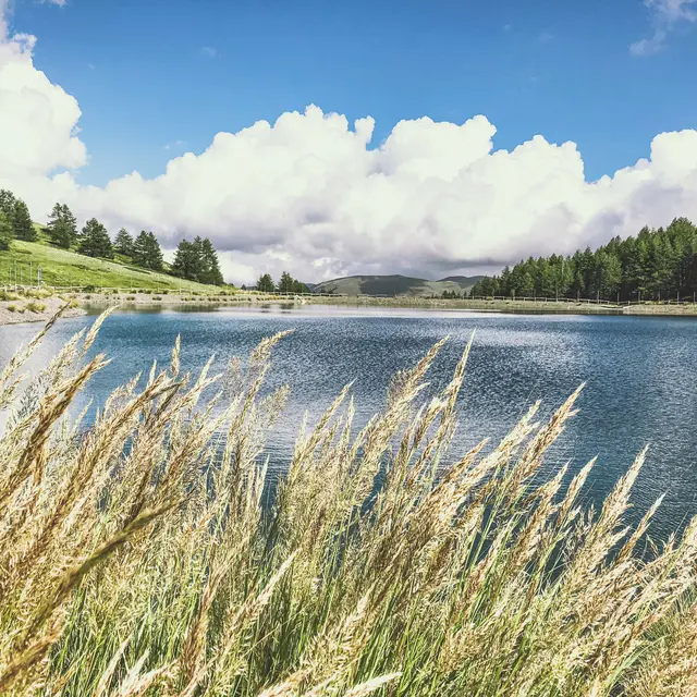 Lac des Anguilliers