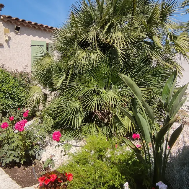 Concours maisons fleuries