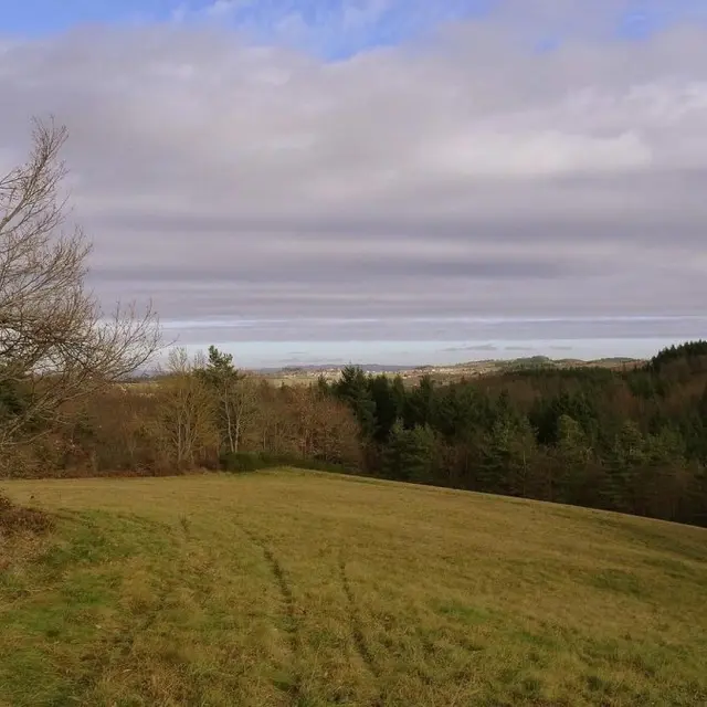 sentier des renardières