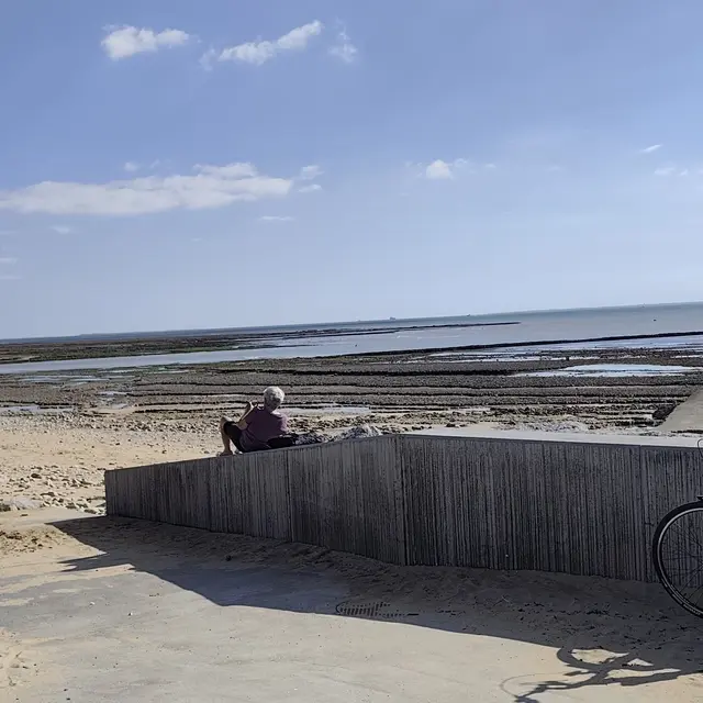 Plage de Montamer à marée basse à Sainte-Marie-de-Ré 1