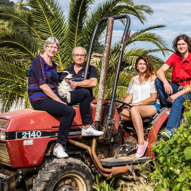 Famille Merle
