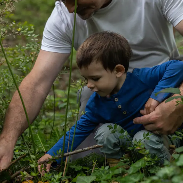 Domaine de Souladiès